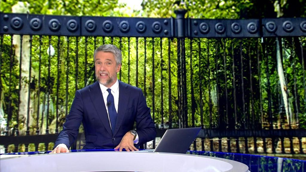 El Ministerio de Sanidad confirma el brote de gripe aviar en los jardines del Real Alcázar de Sevilla