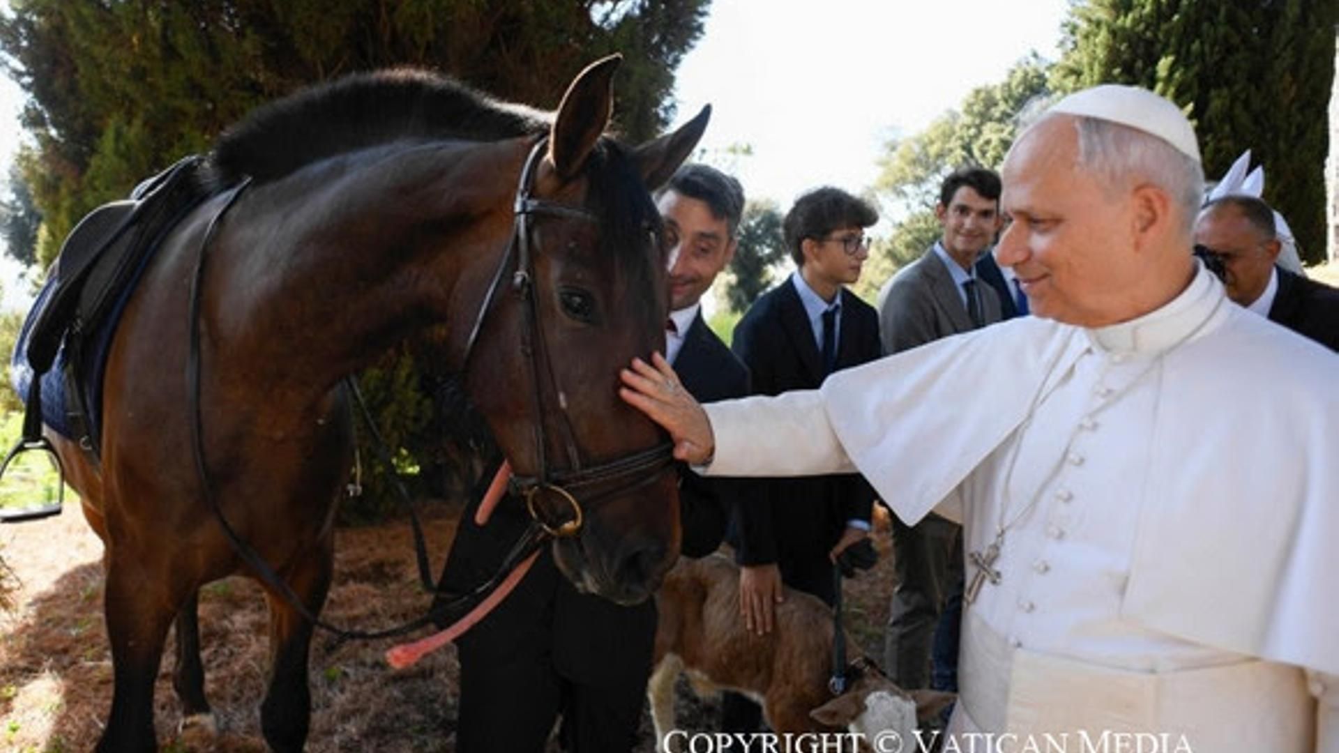 El Papa León XIV junto a un caballo Pura Raza Española