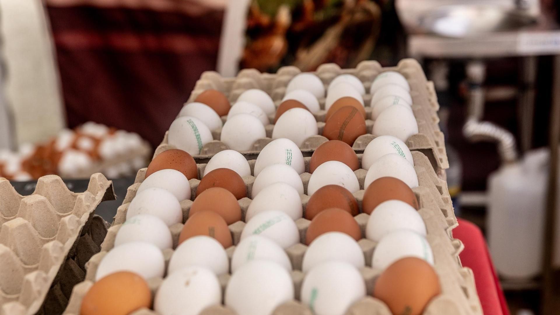 Imagen de unos huevos