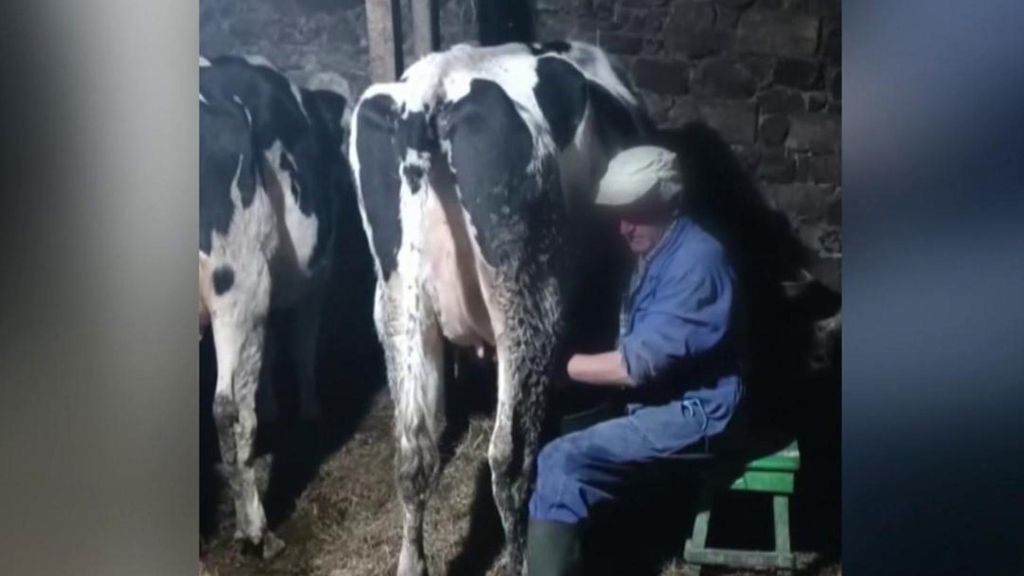 Toño, el ganadero asturiano de 60 años muerto en Ribadesella: sus asesinos podrían ser personas cercanas