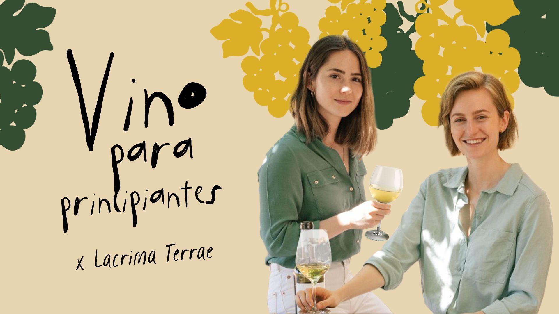 Vino para principiantes, por Lacrima Terrae