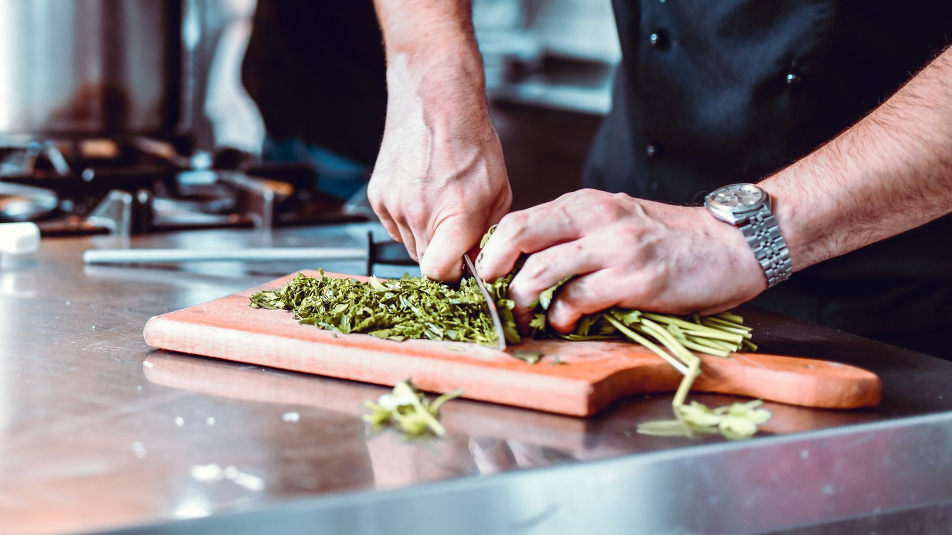 Cilantro picado Cilantro picado