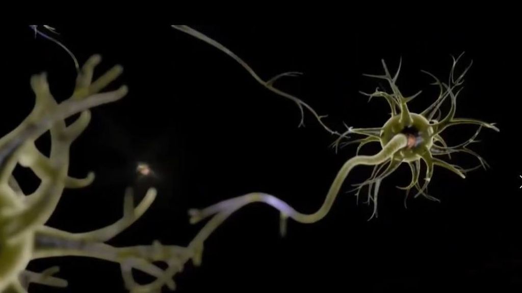 EL CSIC revela que los problemas de salud mental reducen para siempre la creación de nuevas neuronas