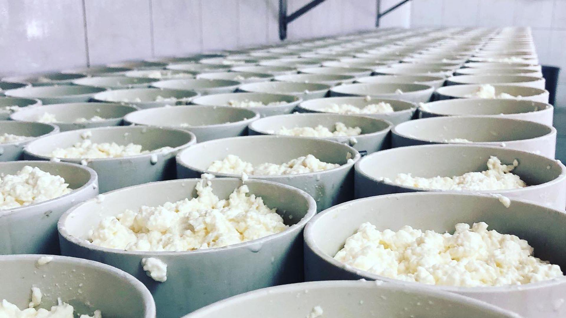 Quesos 100% artesanos elaborados por el propio Yeyo