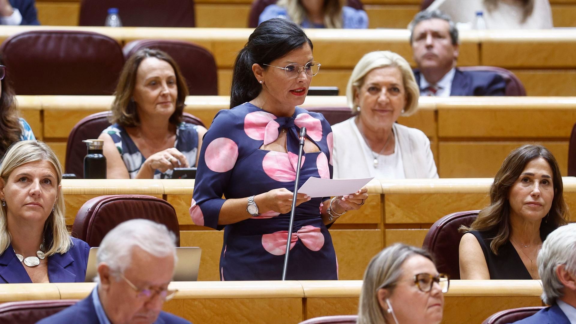 La senadora del PP Nidia María Arévalo interviene en el pleno del Senado, este martes.