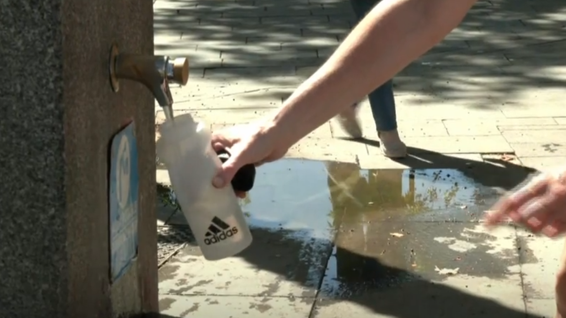 Las altas temperaturas seguirán toda la semana