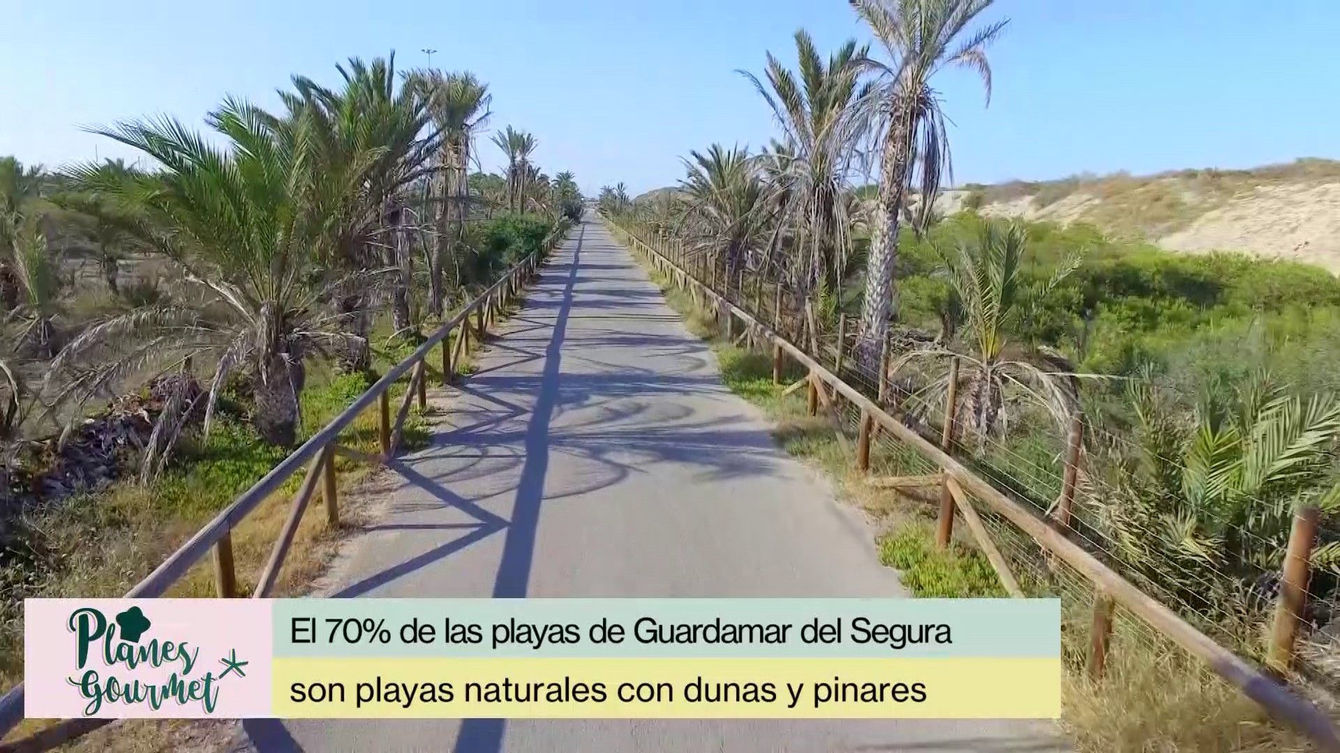 El litoral protegido y cuidado de Guardamar del Segura