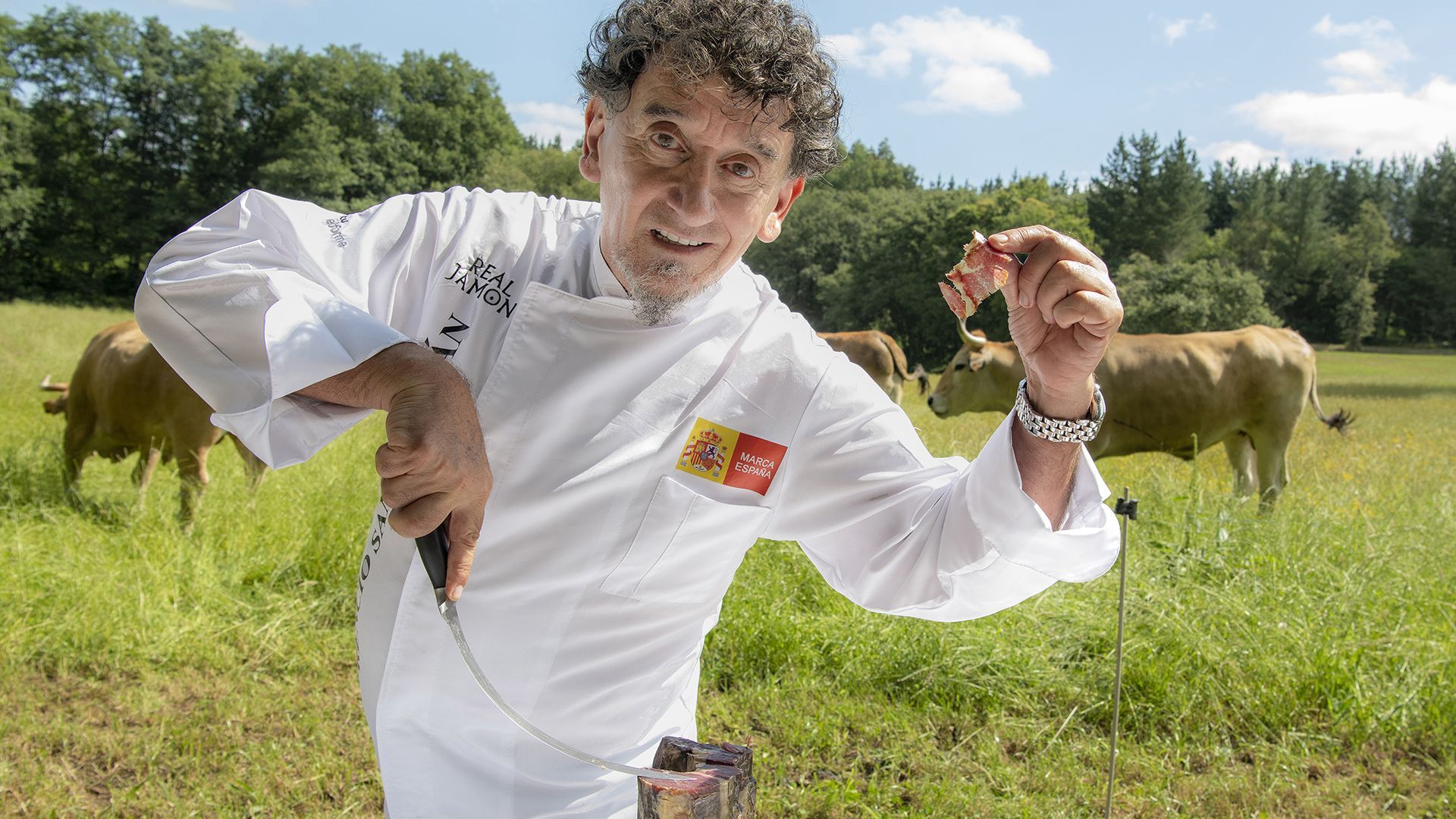 Gonzaba 47 Sanchidrián CM MG