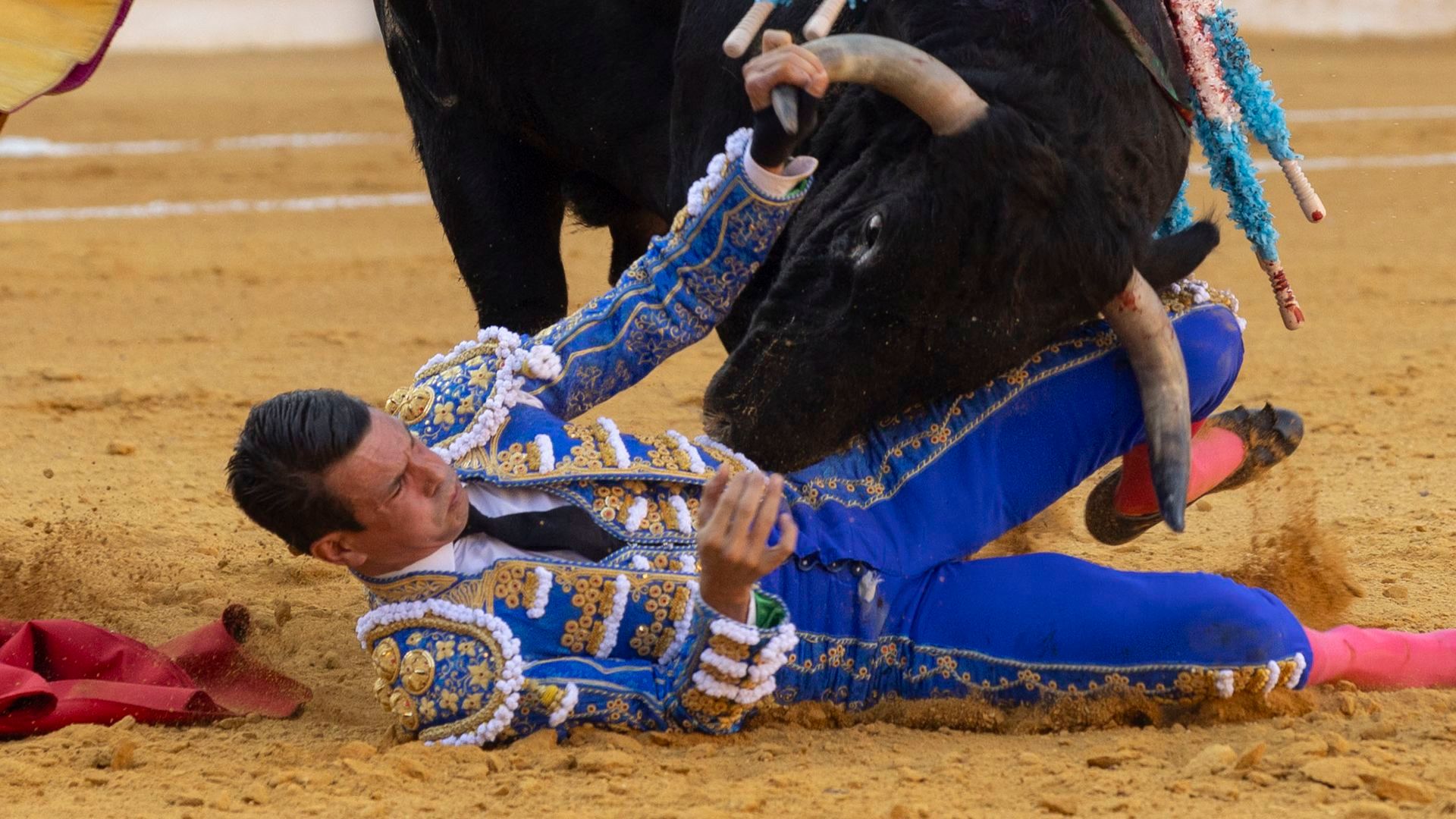 José María Manzanares, obligado a cancelar sus compromisos tras sufrir una fractura de costilla en su última corrida