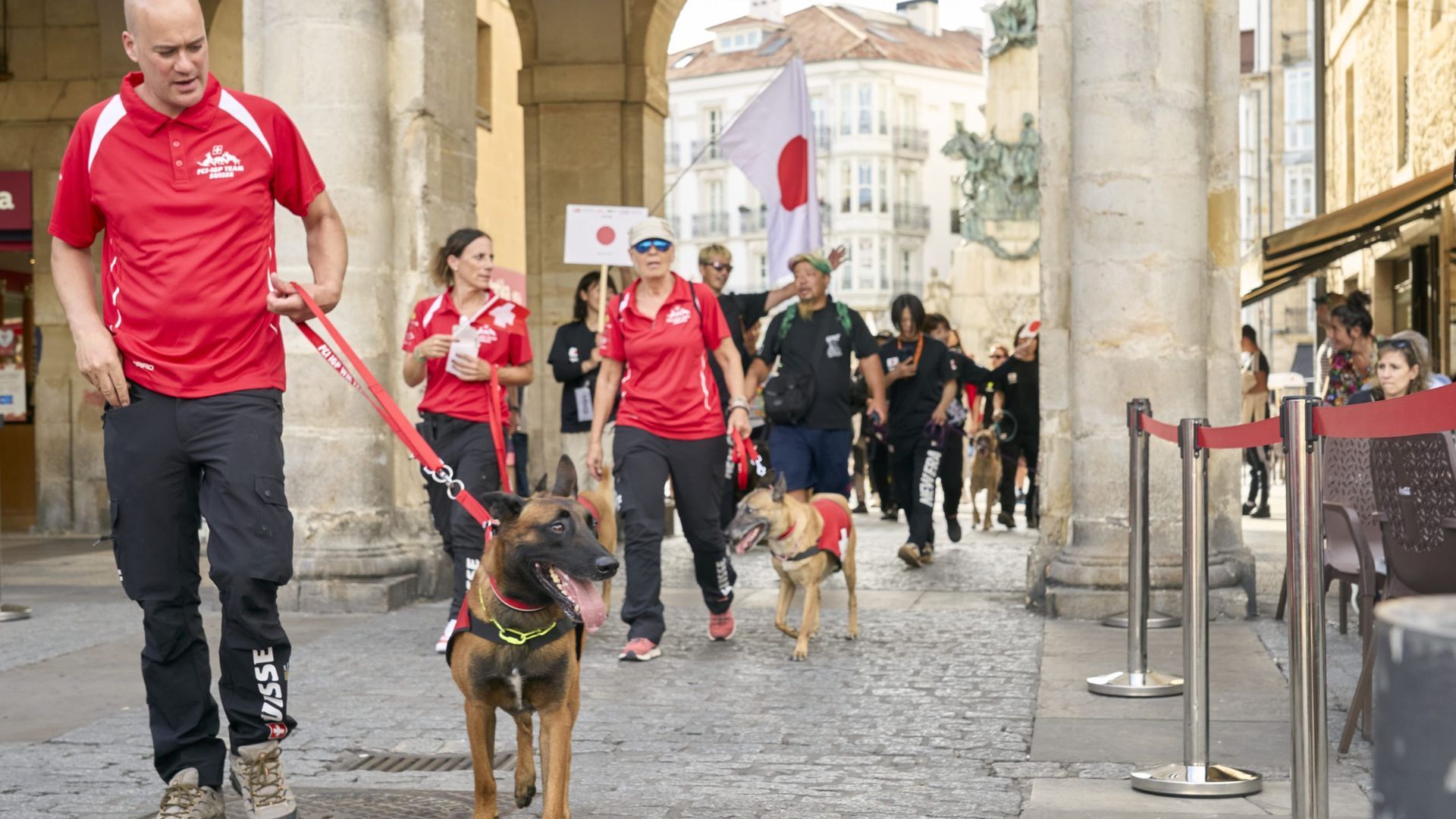 La mayoría de participantes son ejemplares de pastor belga, malinois, pastor alemán, rottweiler, doberman y boxer.