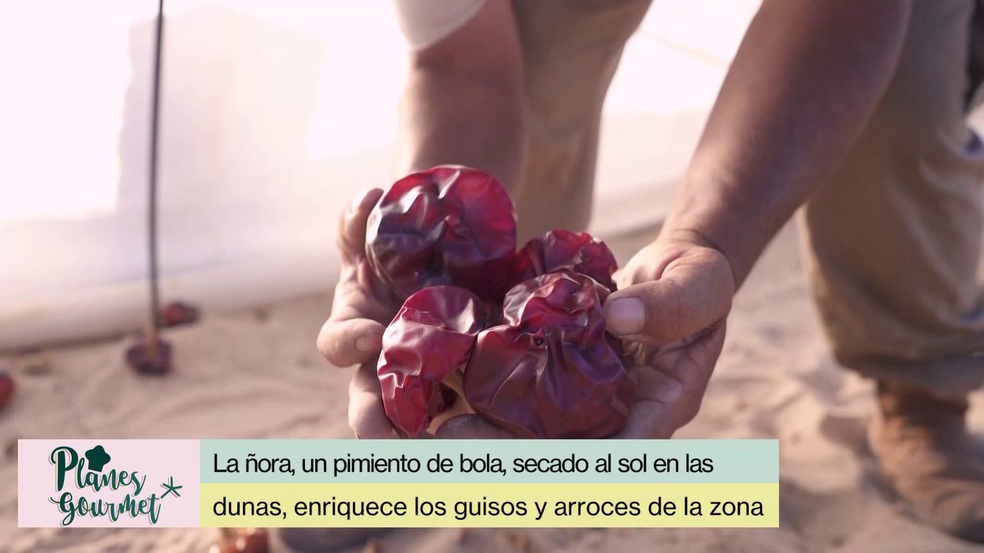 Ñora de Guardamar del Segura