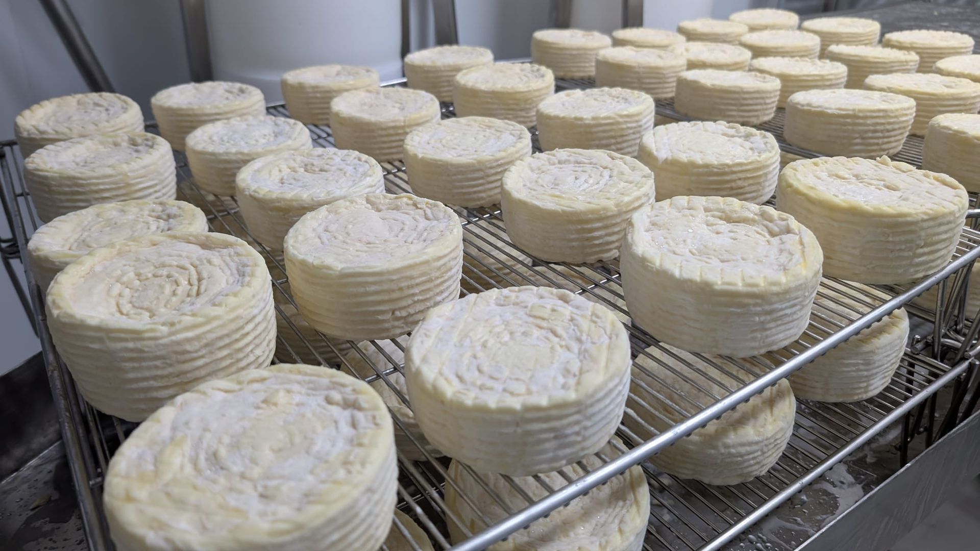 Algunos de los quesos que se producen en La Lleldiría