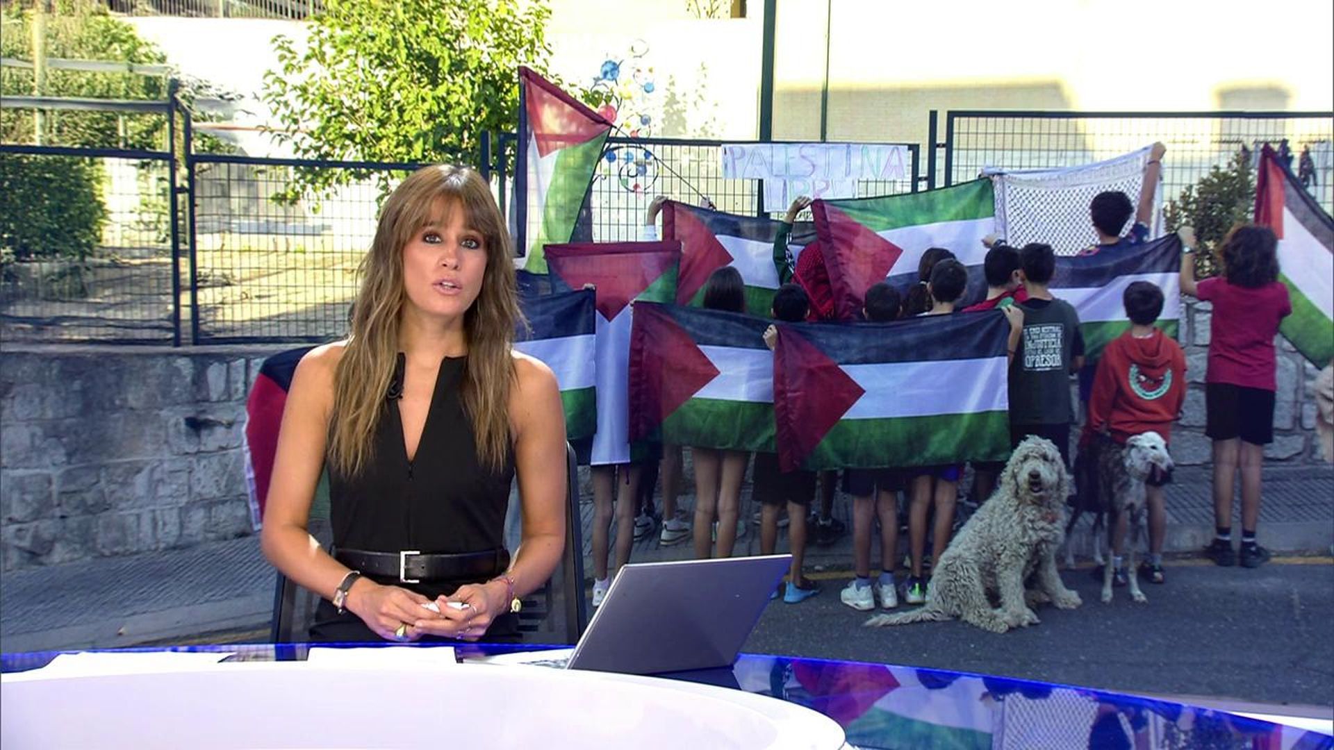 ¿Debe hablarse de Palestina y sacar su bandera en los colegios o es adoctrinar?