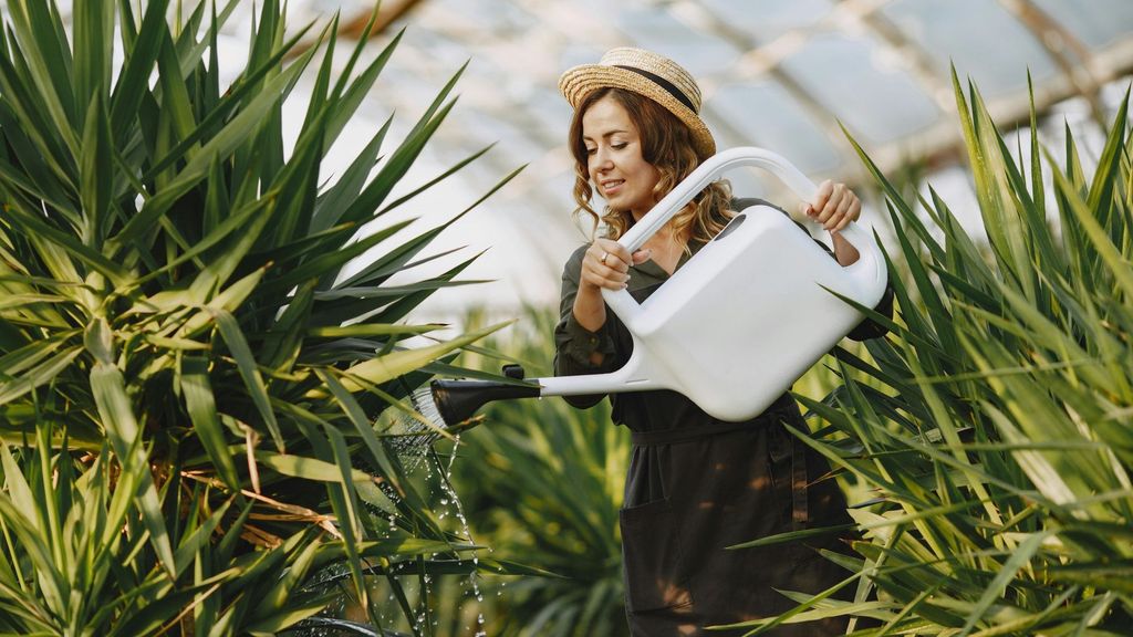 Evita cultivar plantas invasoras
