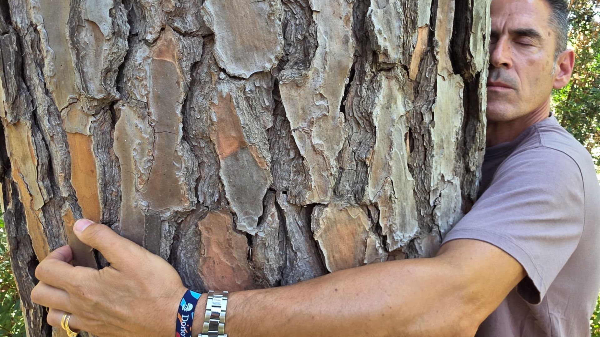 Un hombre abraza al pino "Manolo"