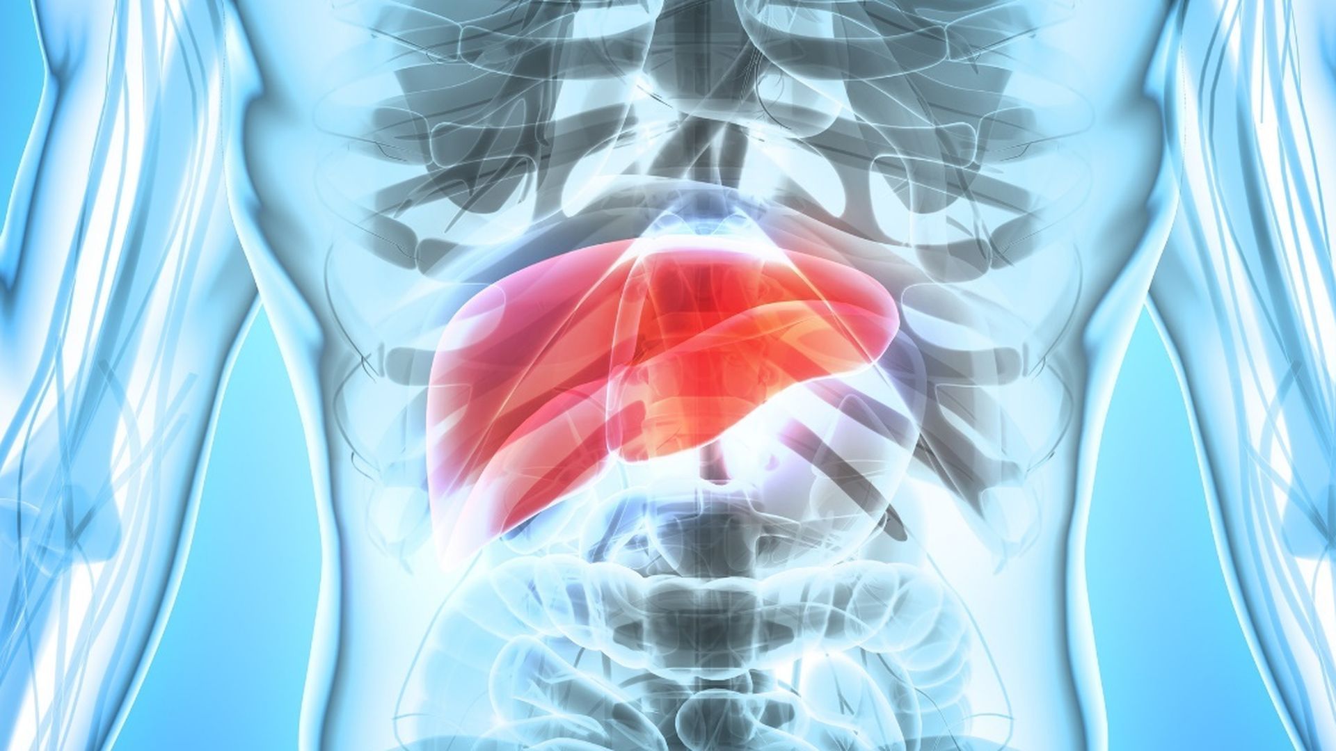 Una investigación del CSIC propone una nueva vía para tratar un cáncer de hígado muy agresivo