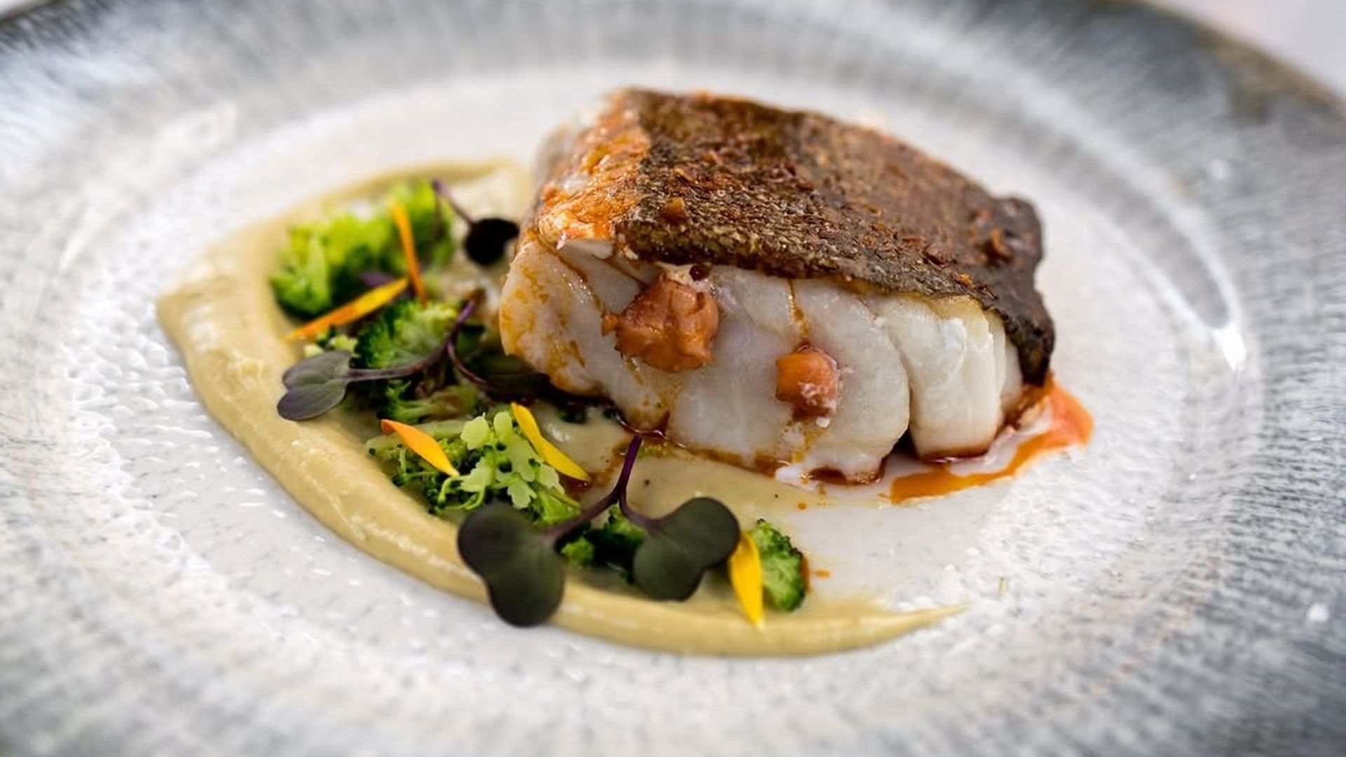 487899919 18397245277129598 7090472558394422639 n