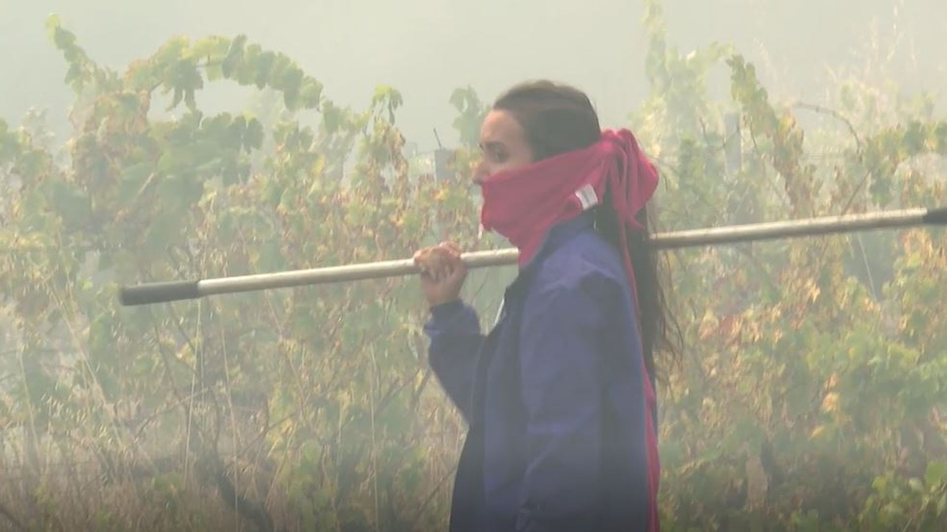 El humo de los incendios forestales tiene efectos letales y podría provocar millones de muertes prematuras El humo de los incendios forestales tiene efectos letales y podría provocar millones de muertes prematuras
