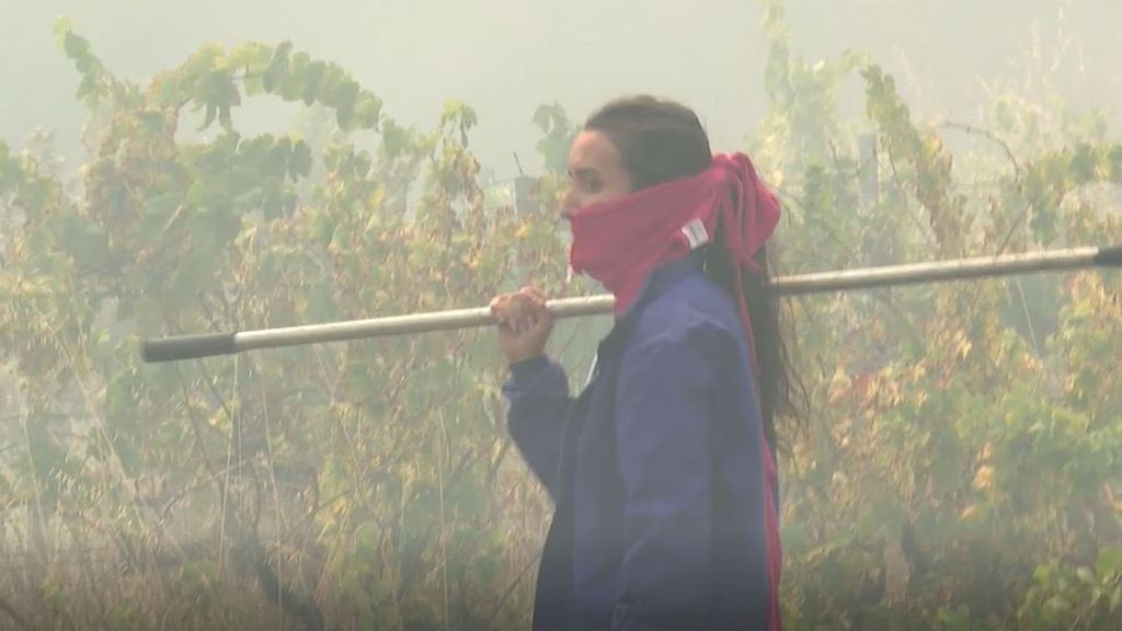 El humo de los incendios forestales tiene efectos letales y podría provocar millones de muertes prematuras