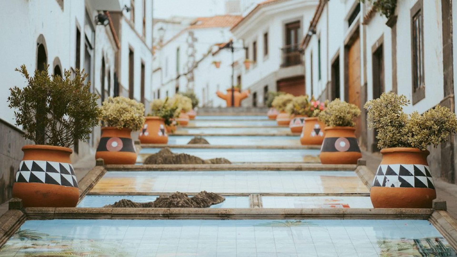 Esto podría ser una tertulia de plantas sin que lo sepamos