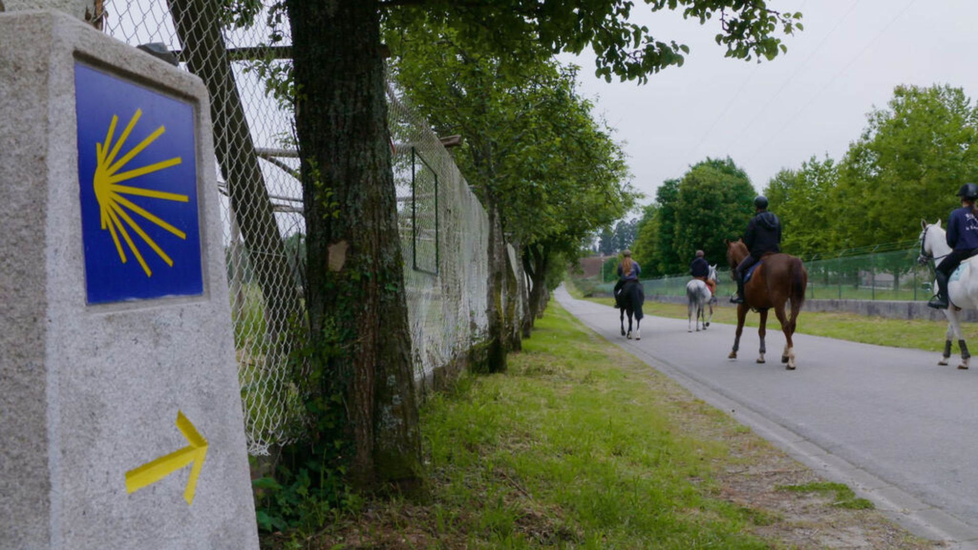 Guía de viaje del Camino de Santiago: consejos y rutas para vivir una experiencia única Guía de viaje del Camino de Santiago: consejos y rutas para vivir una experiencia única