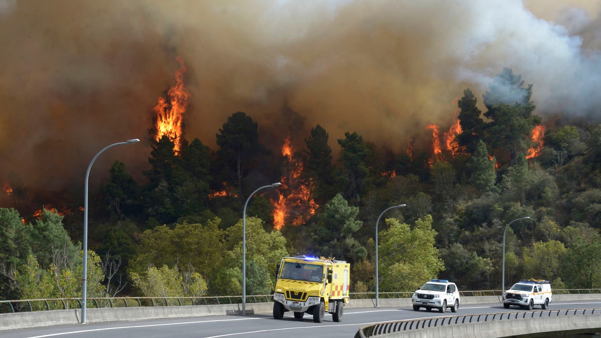Varios servicios de emergencia trabajan en la extinción del fuego, en las proximidades de O Bolo, a 19 de septiembre de 2025, Ourense, Galicia
