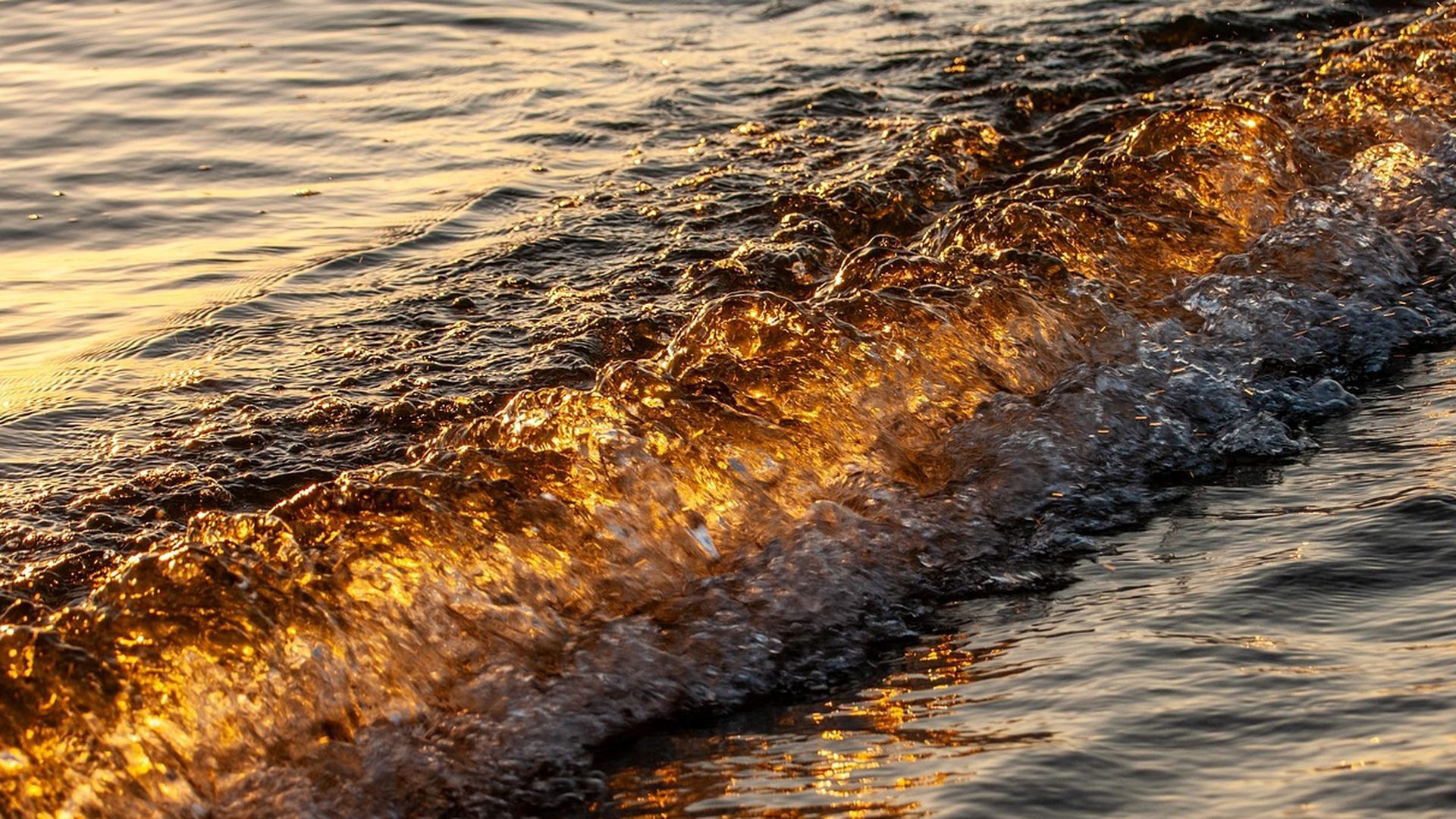 Brote de bacterias carnívoras en Estados Unidos: cinco muertos y decenas de hospitalizados