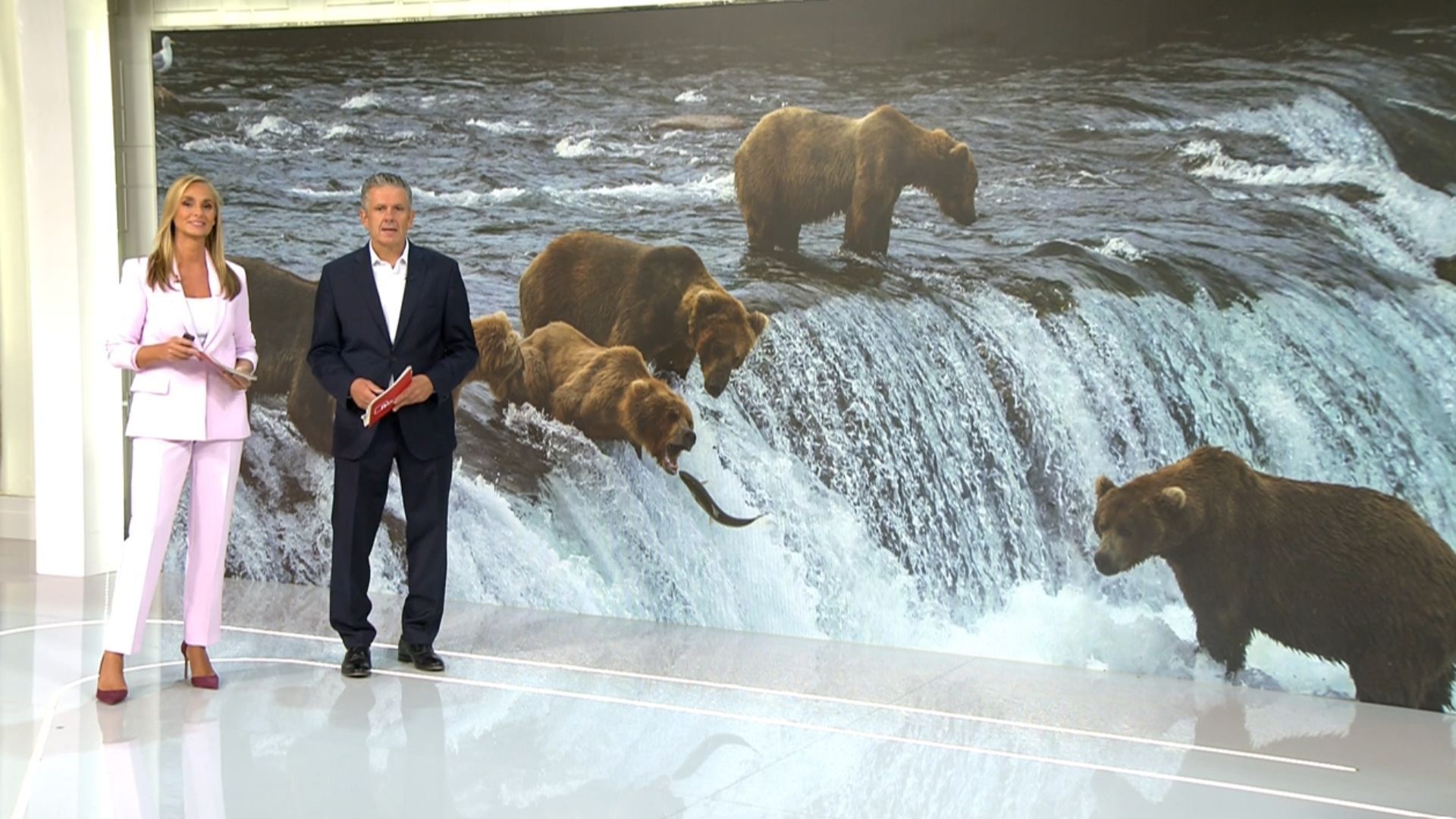 notis4 (4) notis4 (4)