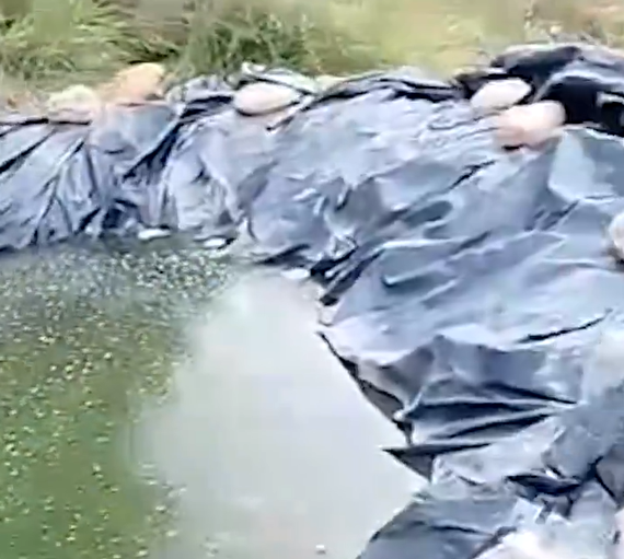 Agua estancada en medio de un bosque donde habían marihuana plantada