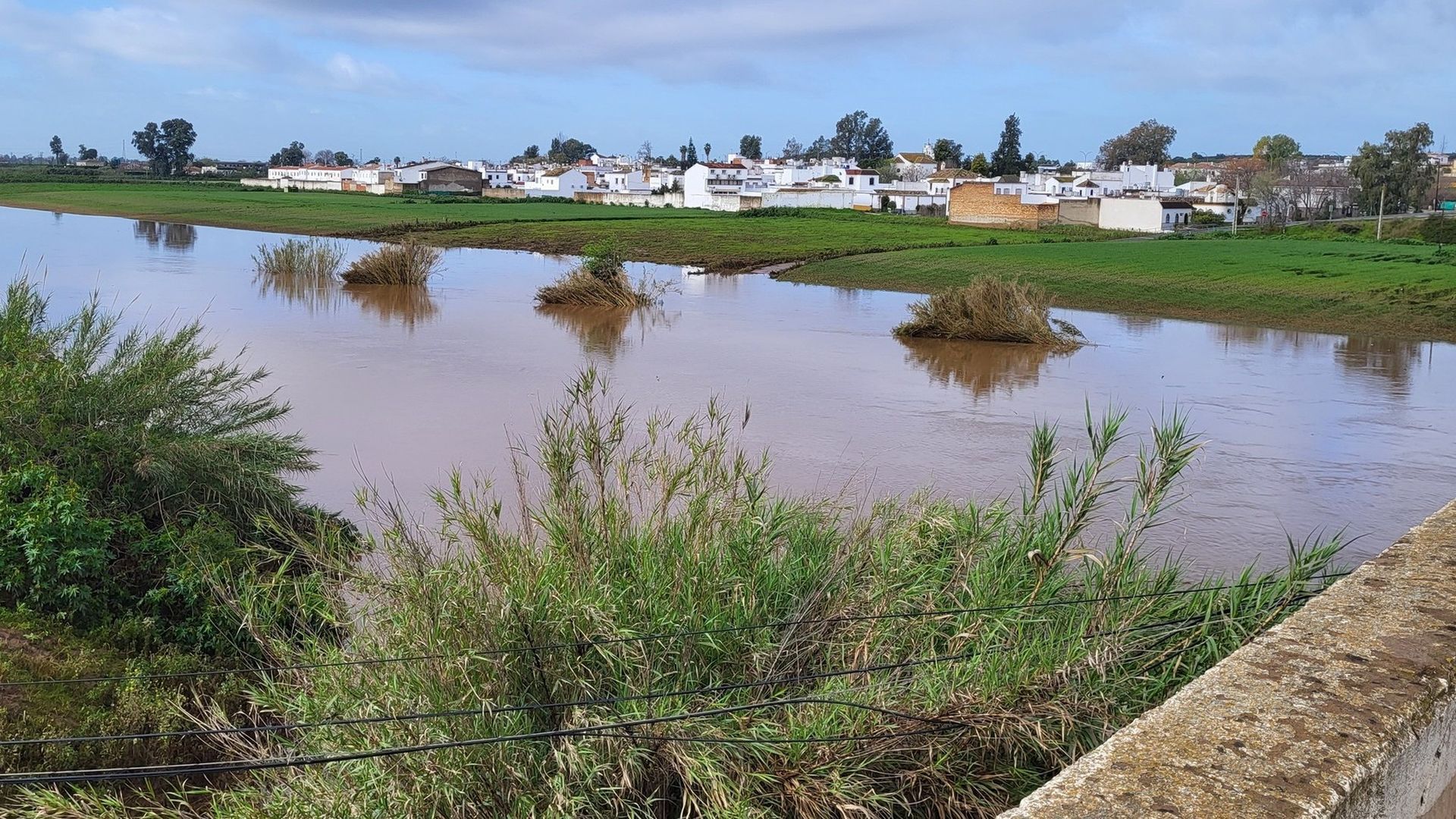 Cauce fluvial en Cantillana, Sevilla