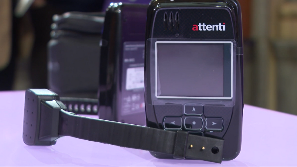 Los "fallos" en las pulseras telemáticas llegan esta semana al Congreso: todo lo que se sabe sobre la polémica