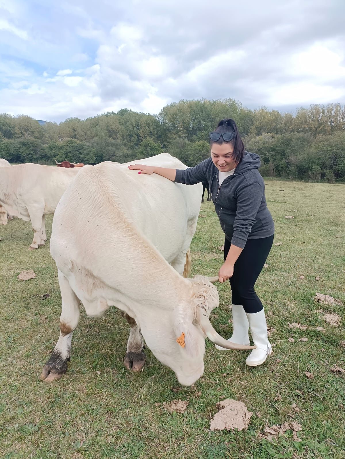 Blanca con un ternero ya adulto