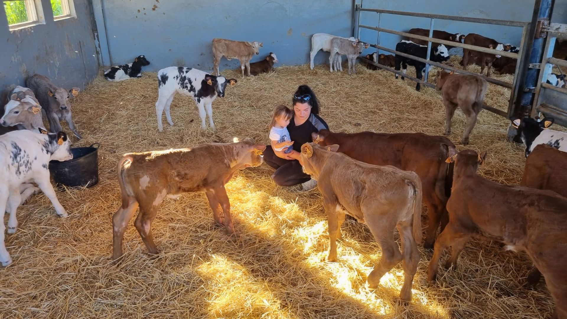 Blanca enseña a una niña uno de sus terneros