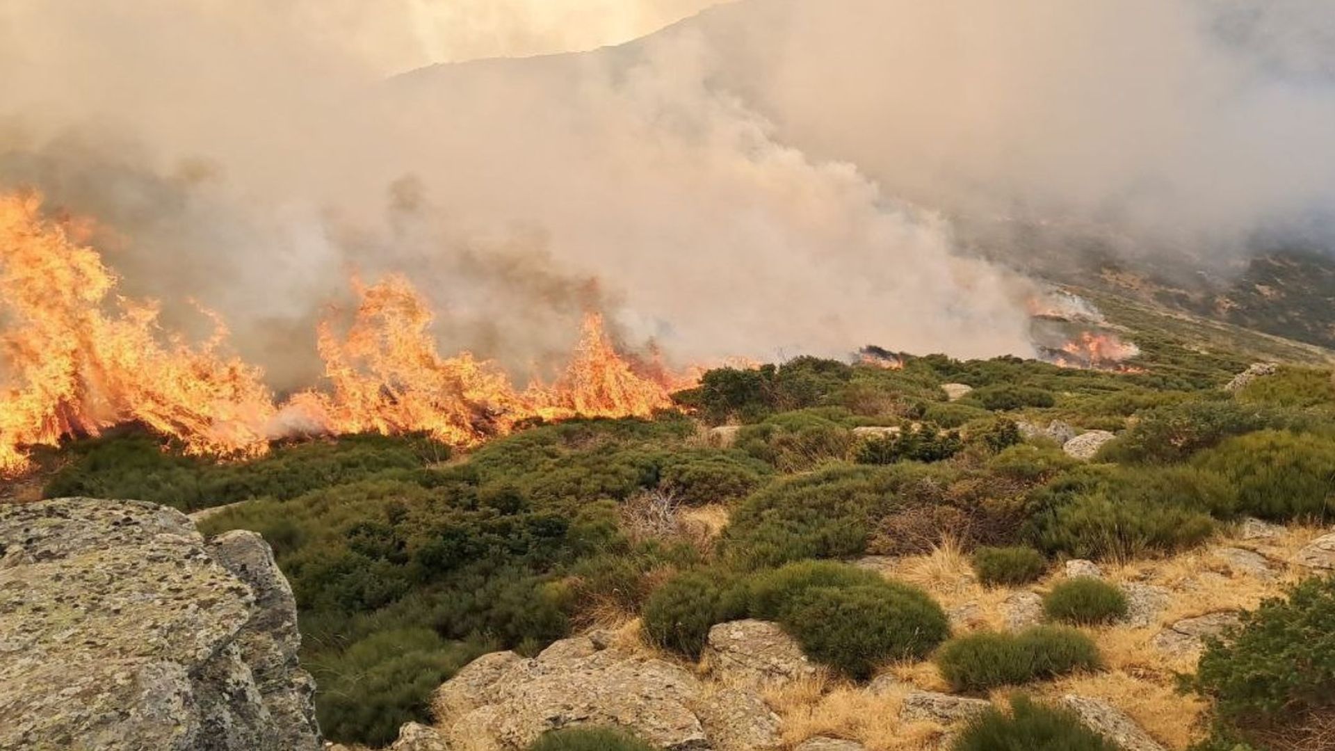 El incendio del  Pico del Lobo, en Guadalajara, avanza sin control: afecta a 400 hectáreas