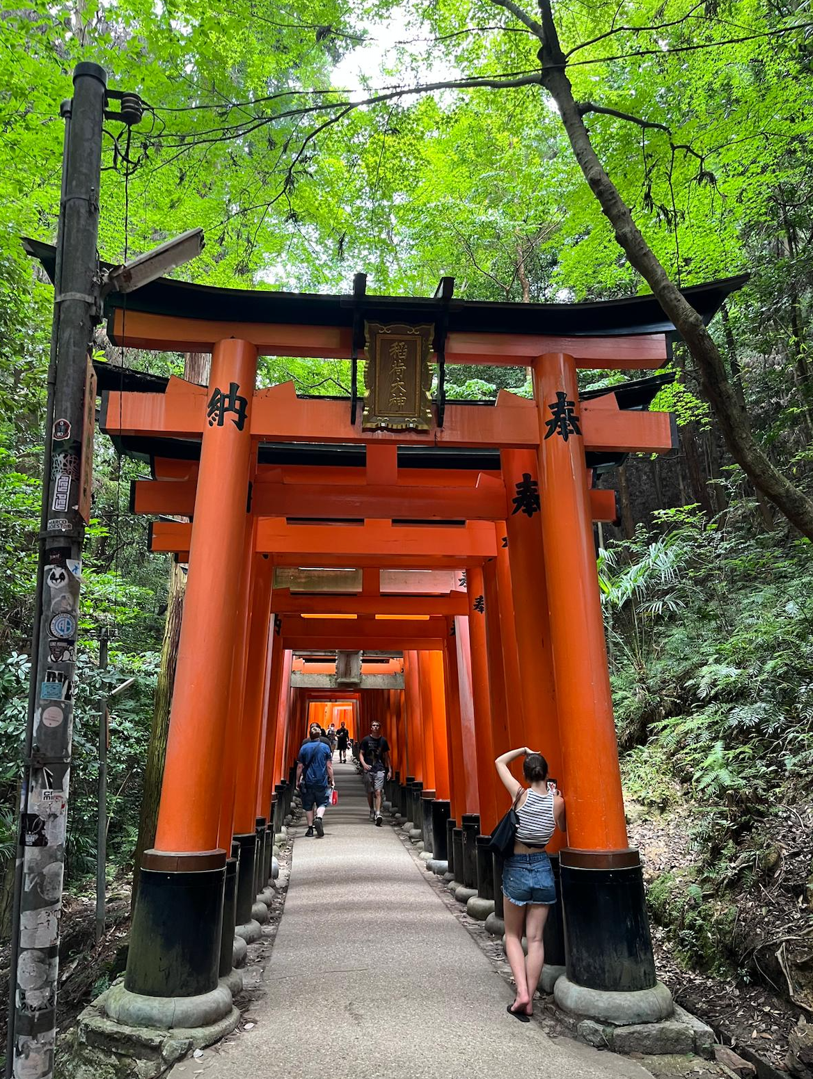 Esquivar las multitudes en Japón, todo un arte