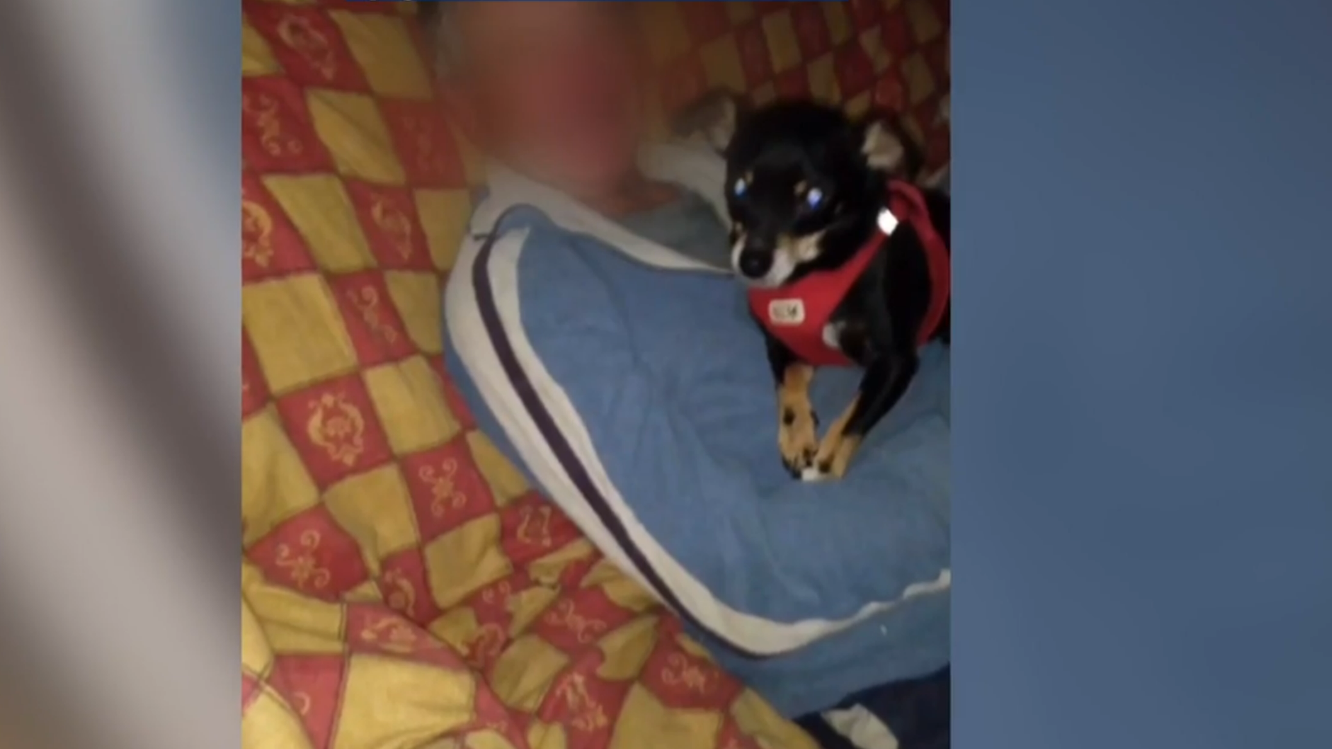 Las incógnitas en el crimen de Toño, el ganadero de Ribadesella: las contradicciones entre su cuñada y su mujer