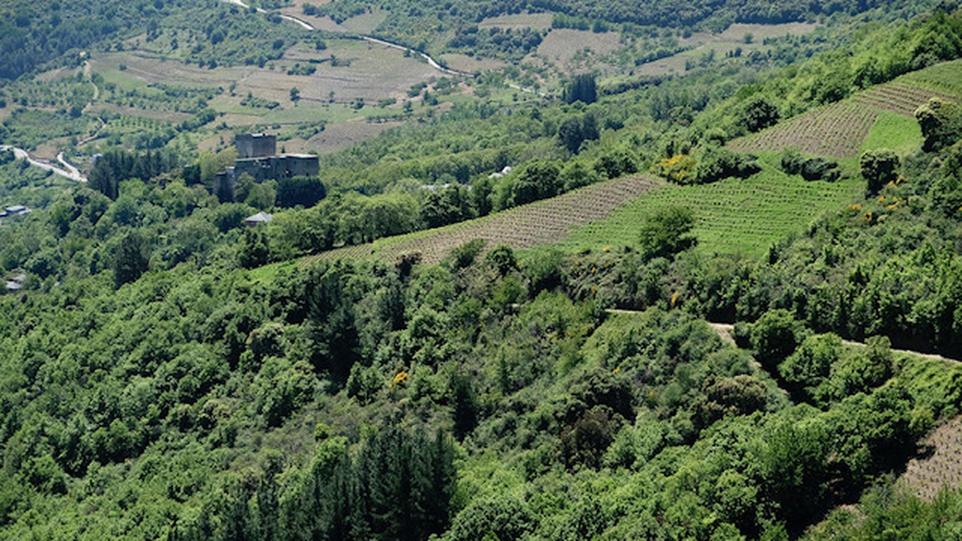 Al Chelo con el Castillo de los Marqueses de Villafranca del Bierzo al fondo