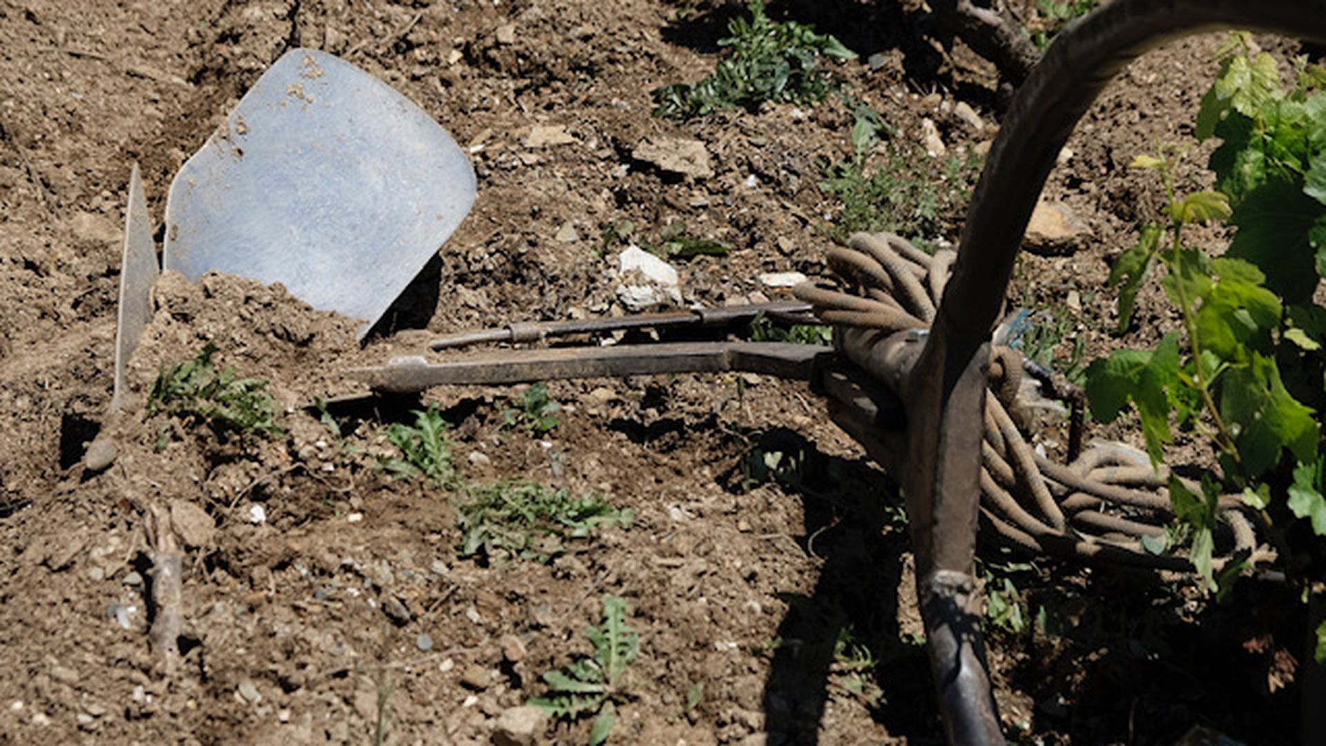 Arado romano de vertedera utilizado para el laboreo