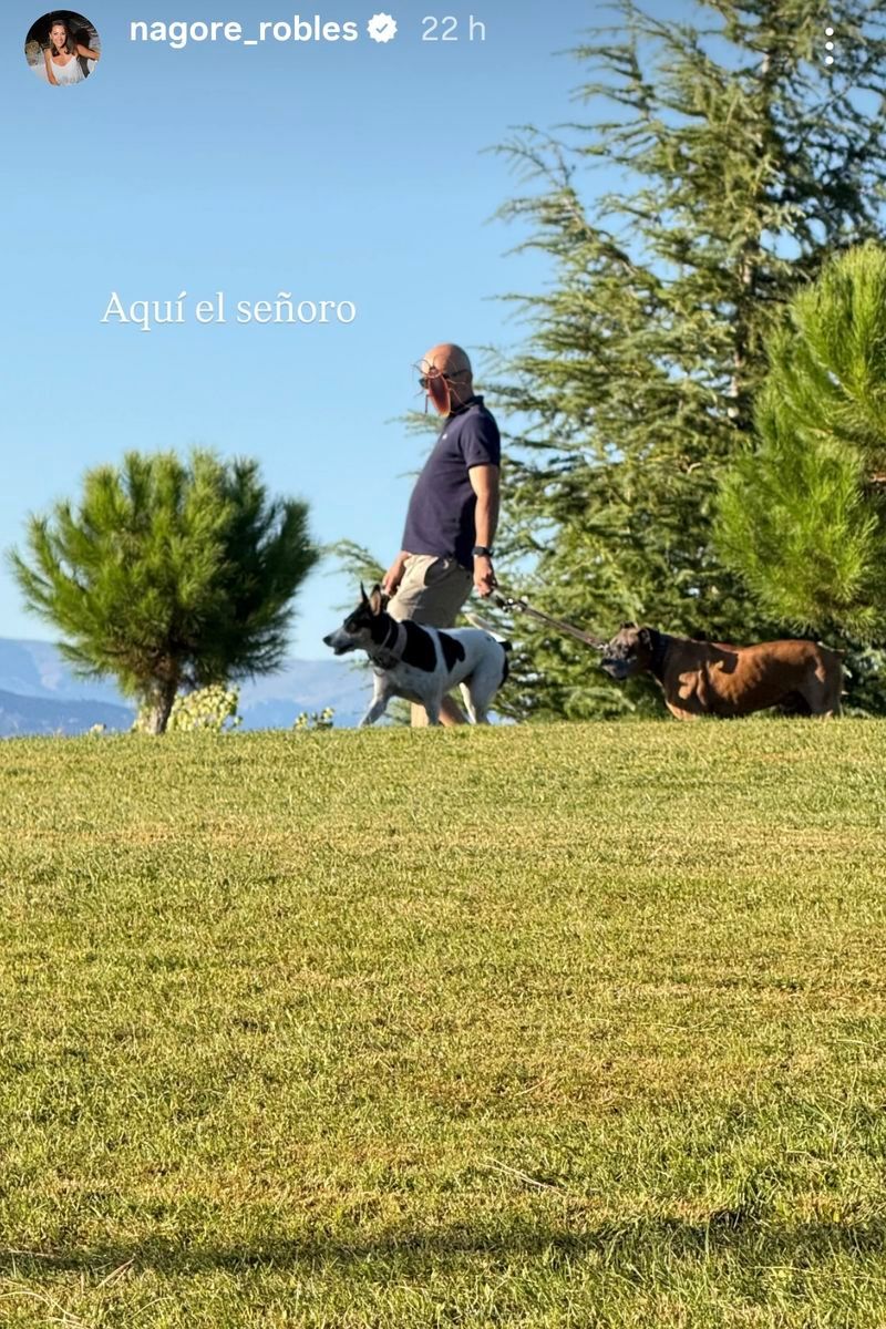 Nagore Robles ha mostrado la imagen del dueño y los perros que han saltado contra Nash