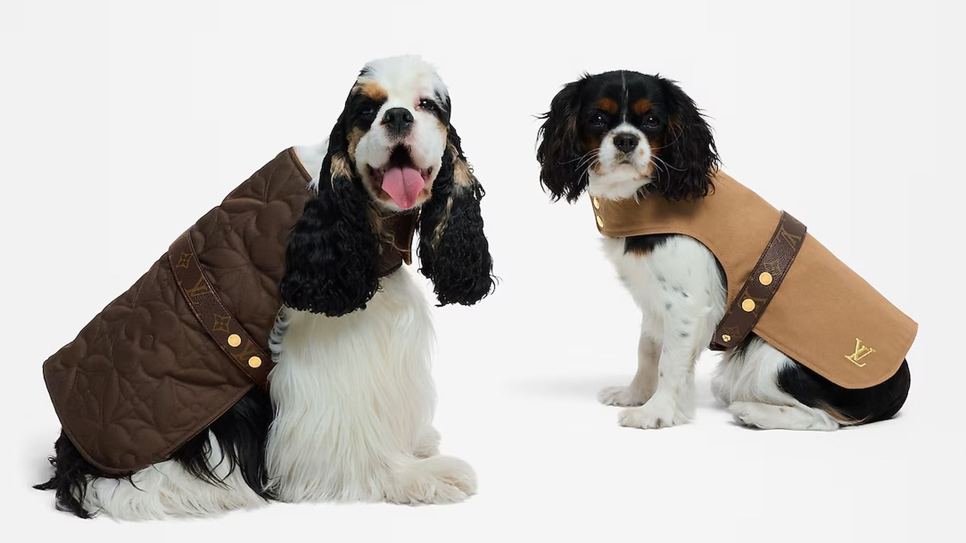 Perros en la colección de mascotas de Louis Vuitton