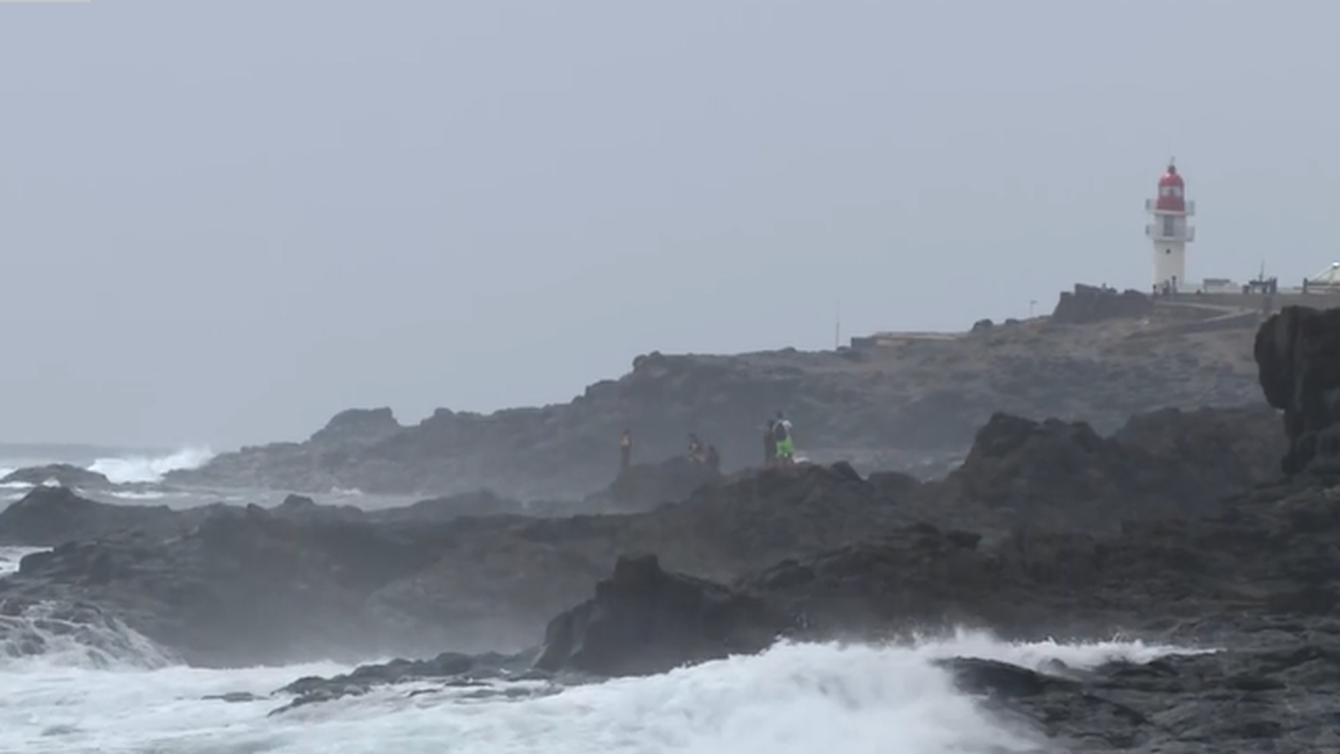 Sentencia pionera: condenado por violencia vicaria tras matar brutalmente al perro de su exnovia delante de ella