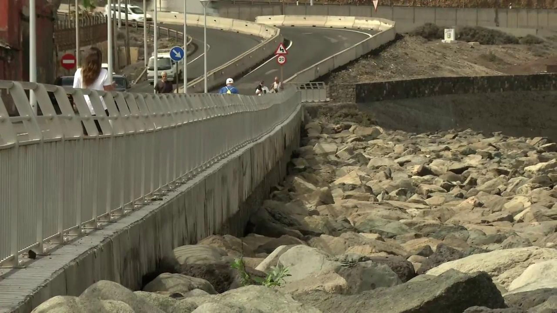 Violencia vicaria con la mascota: "La llamó para devolvérsela y frente a ella la mató"