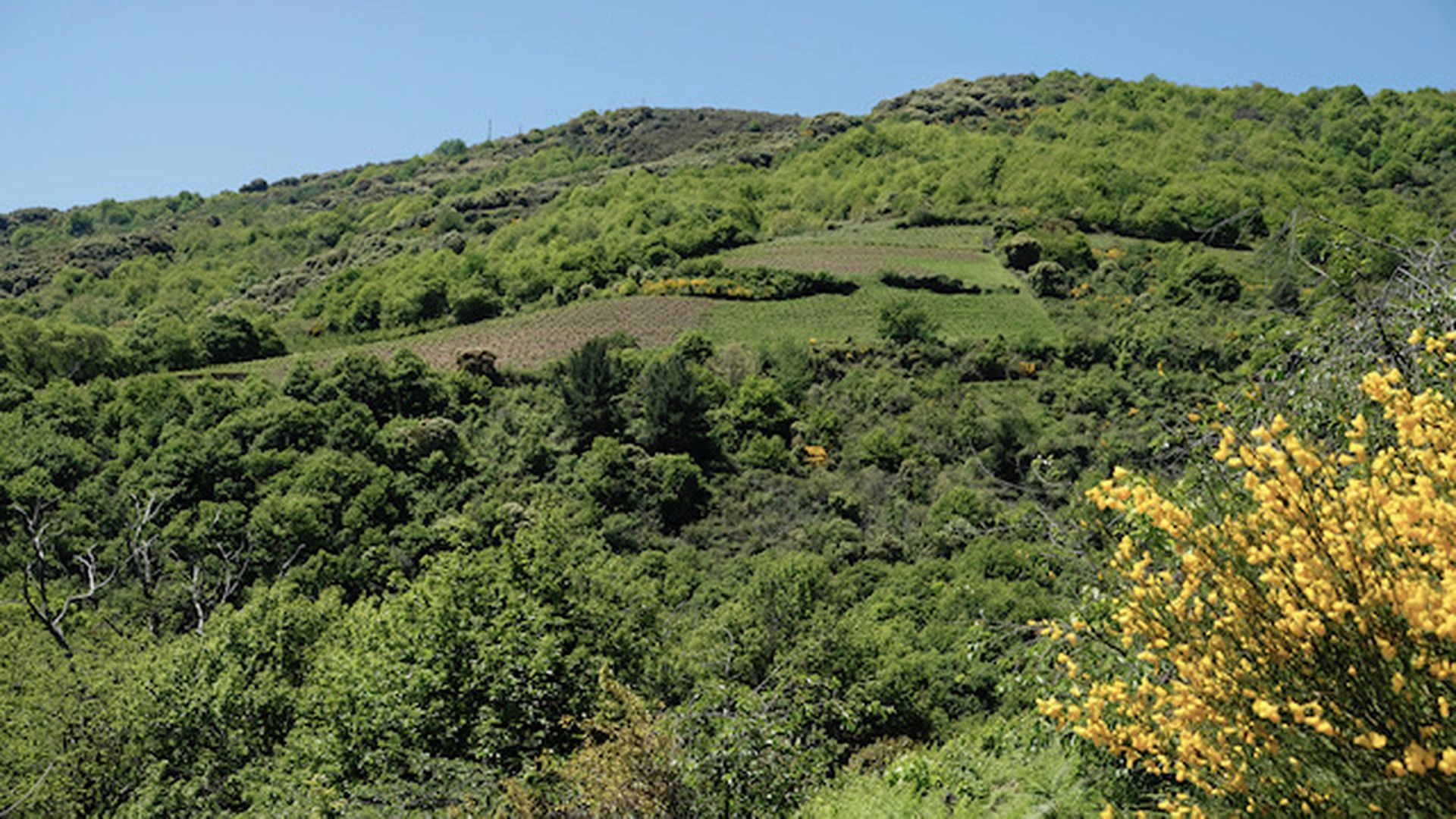 Vista de Al Chelo desde San Martín