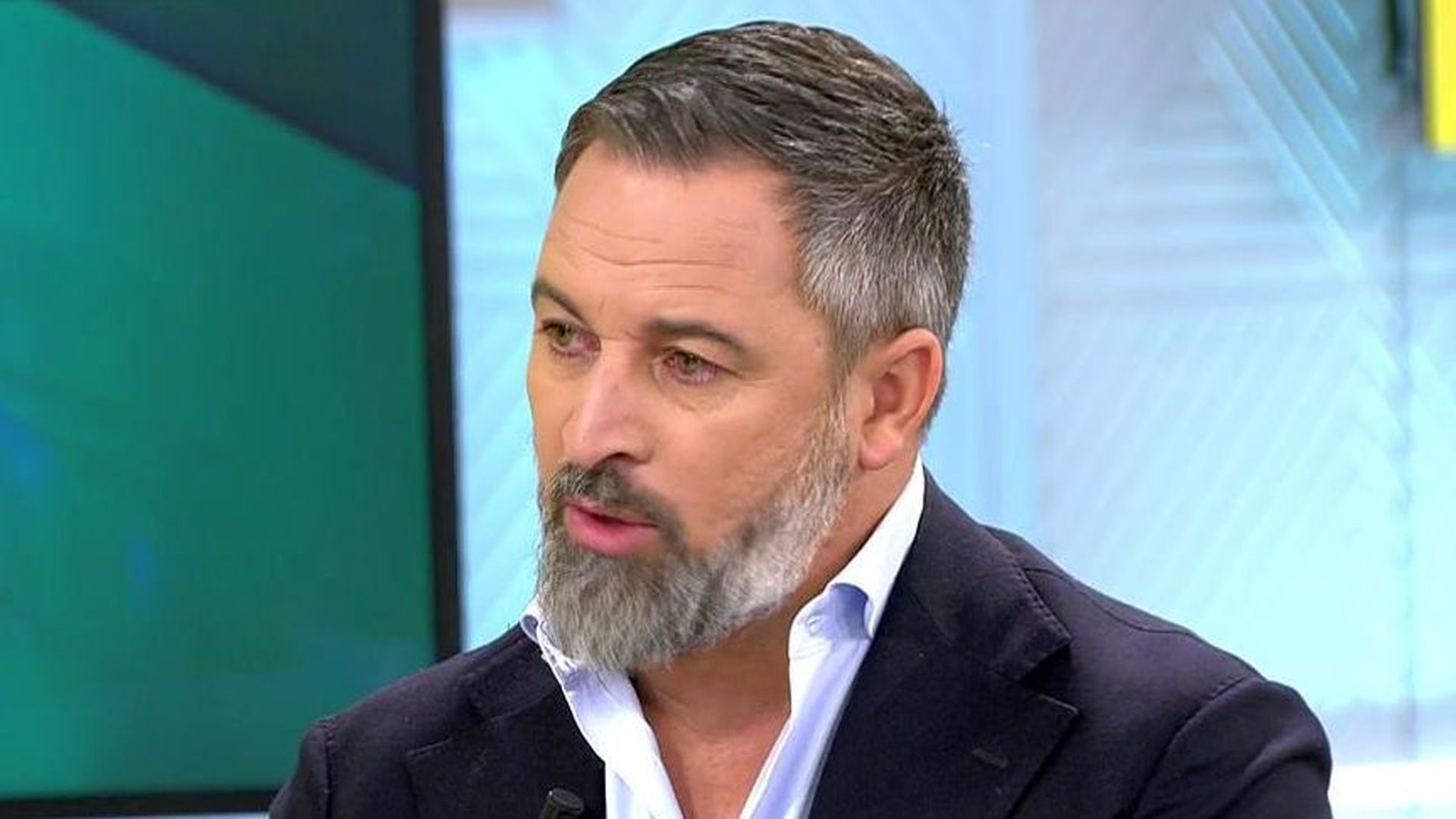 Santiago Abascal: "España necesita natalidad, no más inmigrantes"