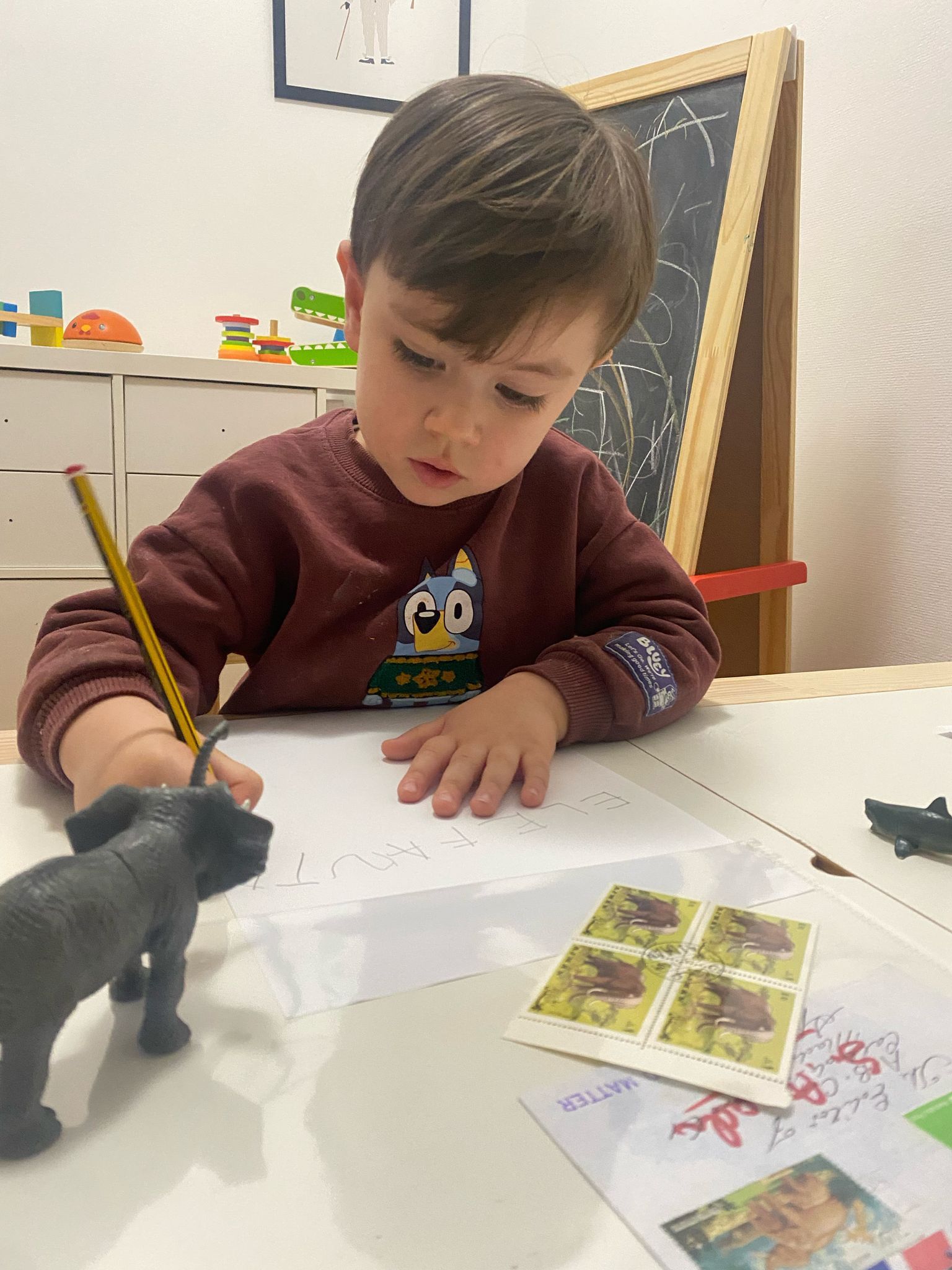 Álvaro Carnoto revisando sus sellos de animales