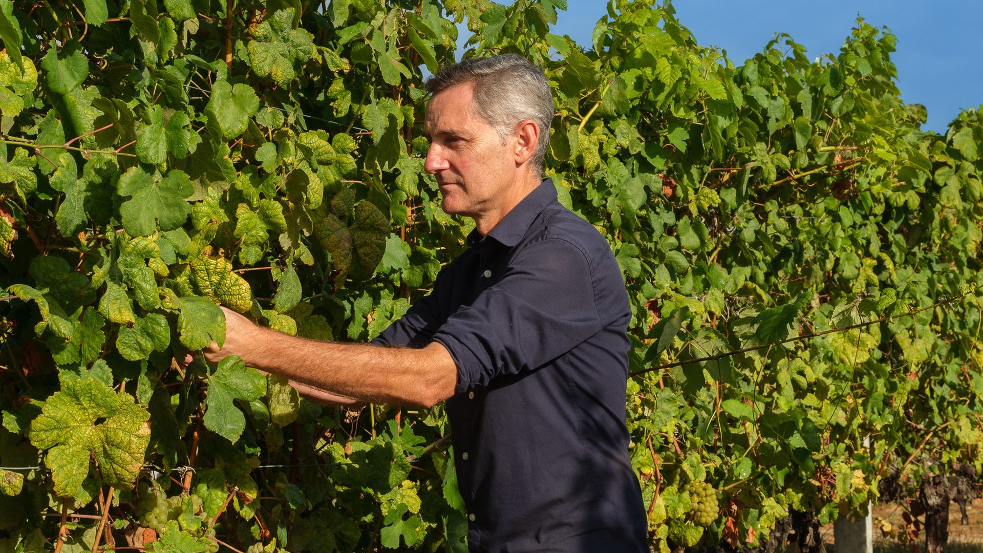 Enólogo Chema Ureta en viñedo de Santiago Ruiz 1