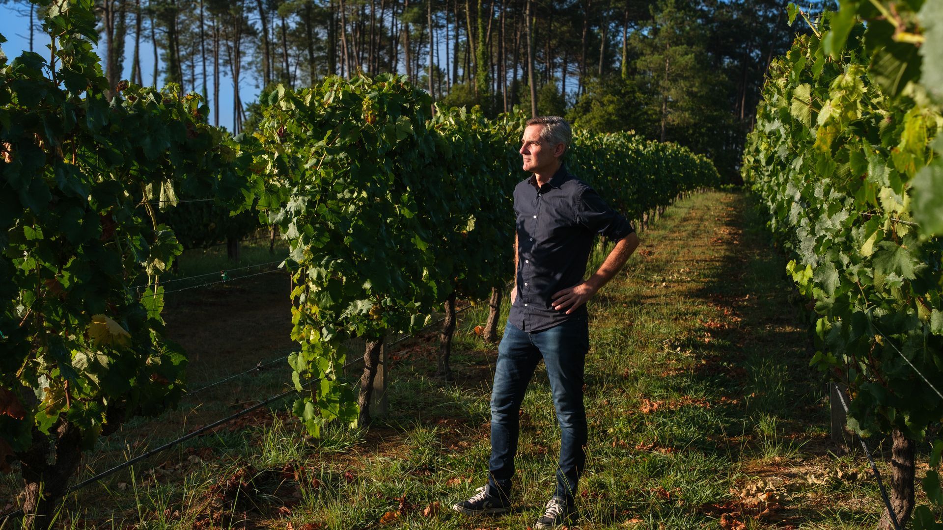 Enólogo Chema Ureta en viñedo de Santiago Ruiz 3