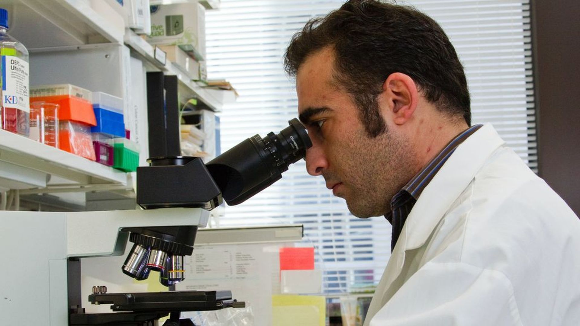 investigacion-cancer