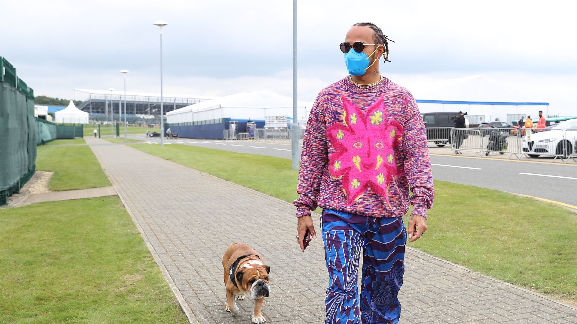 La relación de Lewis Hamilton con su perro Roscoe