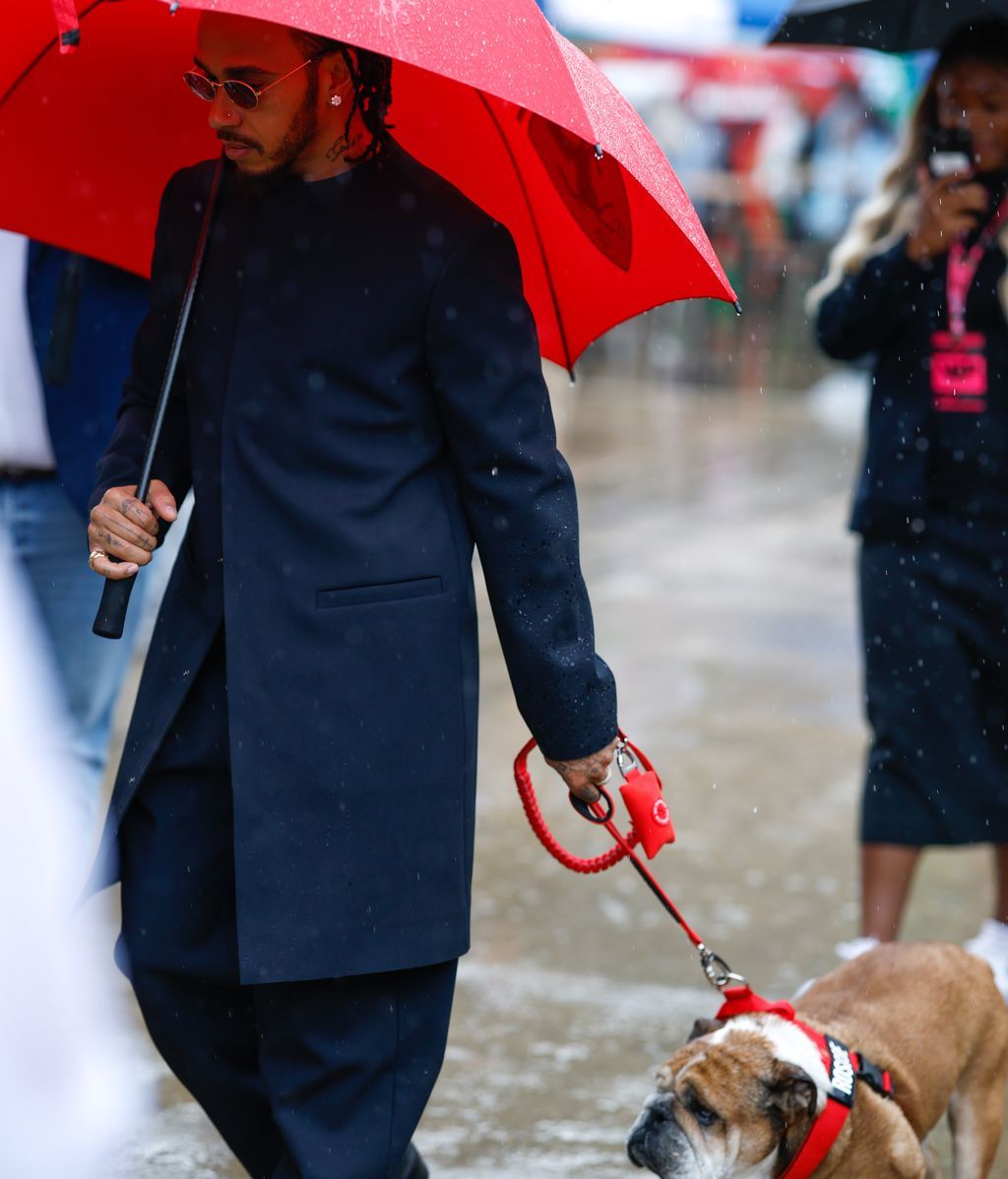 La relación de Lewis Hamilton con su perro Roscoe